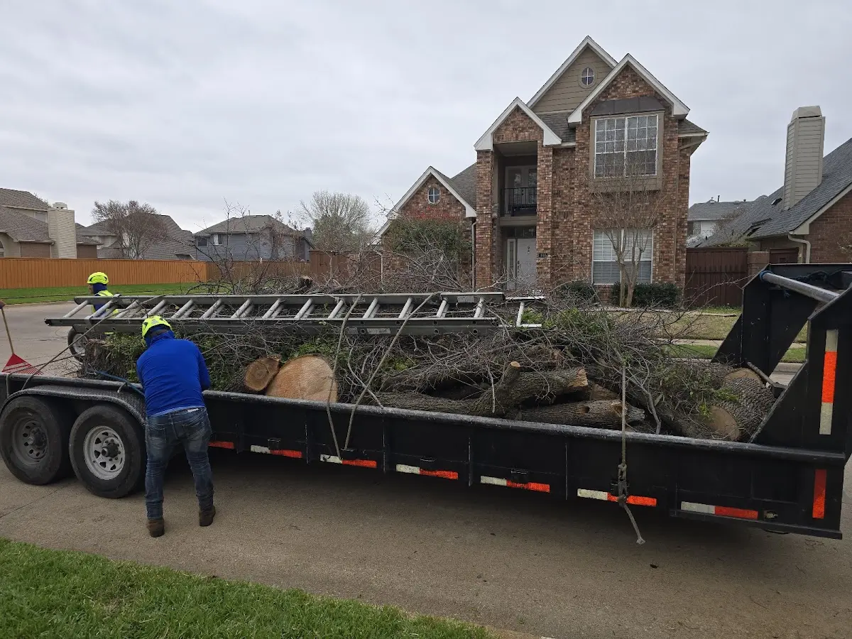 Expert Tree Pest Control with proper safety equipment in Langhorne